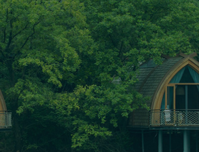 �ٴ���ϵ��Աϵͳ���ŵ�