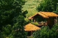 ���ݵضȼ��ù�������Ȼϵ�ȼ��ᳫ��